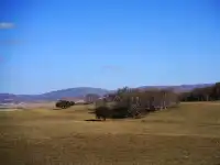 景點小評測——烏蘭布統