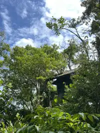 古晉十日：從山都望雨林到砂拉越河岸