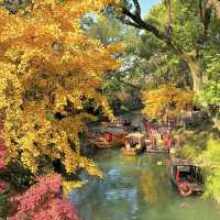 帶上這個以防萬一｜秋天的星星調色教程