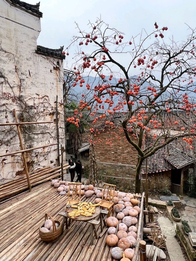 別傻逛篁嶺了！沒聽過這個故事等於白來！