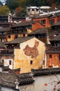 國家地理推薦｜婺源篁嶺曬秋