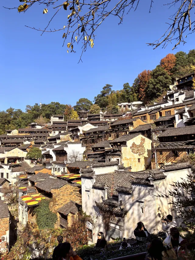 國家地理誠不我欺!婺源篁嶺曬秋絕了 國家地理誠不我欺!婺源篁嶺曬秋絕了