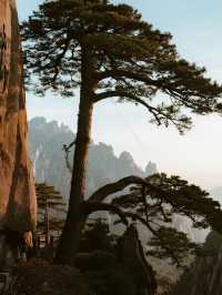 黃山冬日親子雪遊！免票攻略輕鬆打卡～