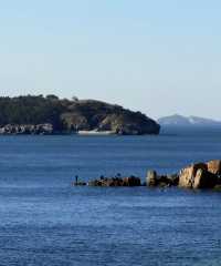 誰不喜歡冬天的大連呢!!