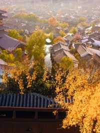 迄今為止,我最愛的江南古鎮出現啦