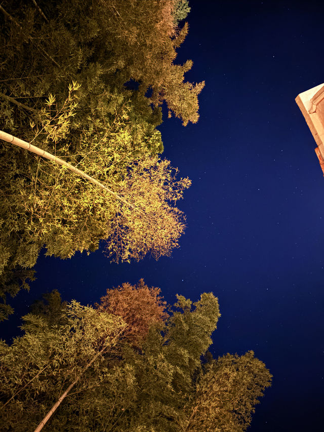 週末/假日逃離計劃|且息山裡的24h山野治癒時光 週末/假日逃離計劃|且息山裡的24h山野治癒時光