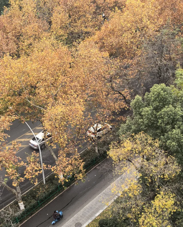 12.4安徽-包公祠-包大人草民來看您了 12.4安徽-包公祠-包大人草民來看您了