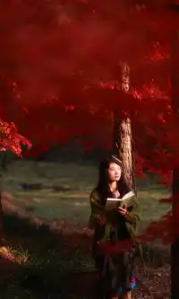 你在人潮擁擠的西湖邊,我在花開海上紅楓自由自在