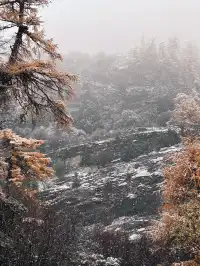 命運的扣環—願我們永遠自由