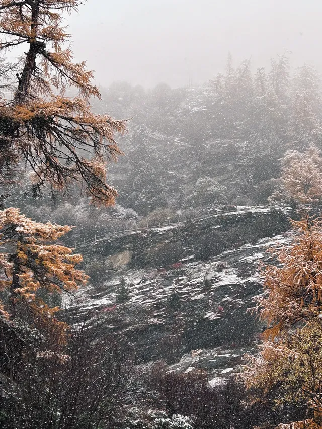 命運的扣環—願我們永遠自由 命運的扣環—願我們永遠自由