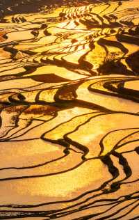 最險梯田星軌拍攝攻略