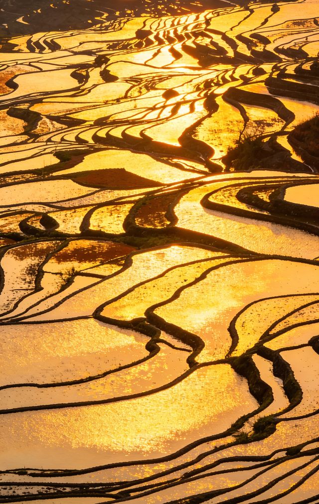 最險梯田星軌拍攝攻略 最險梯田星軌拍攝攻略