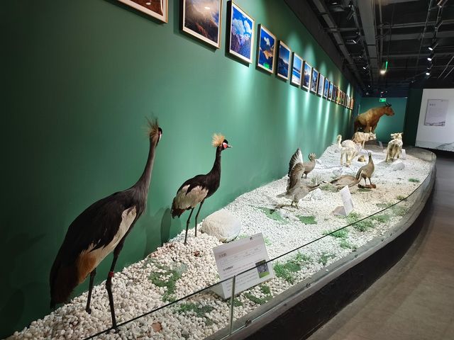 20250928   藏在北京的秘密森林：五洲植物樂園