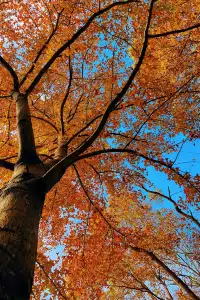 台州賞秋封神4條徒步路線建議收藏~