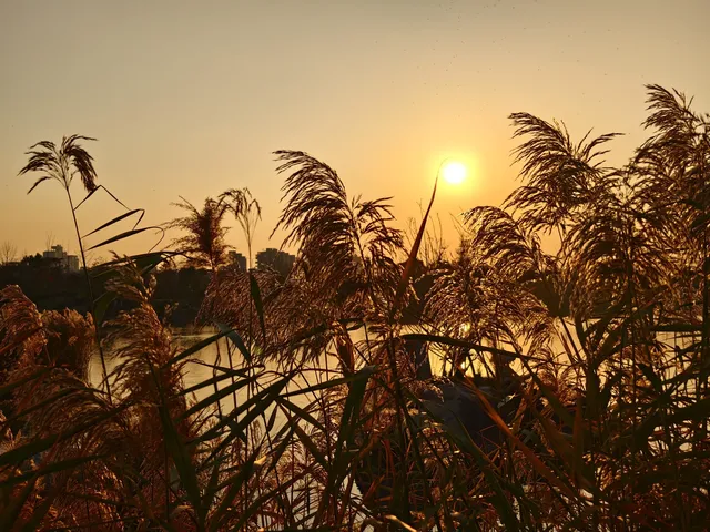 觀音法界｜中式美學的恢宏震撼