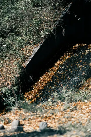 Uenohara | The autumn after Hirakiyo met was so moving