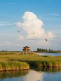 星空帳篷裡學做小漁民!東灘濕地邊的自然營地