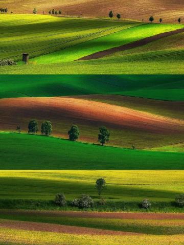 남모라비아 거리 탐방 가이드 브르노의 낮과 밤의 반전 매력, 누가 알까?