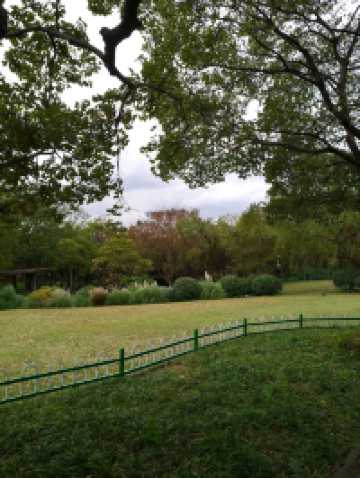 免費且24h開放!上海小眾江景公園,騎行觀鳥太絕了