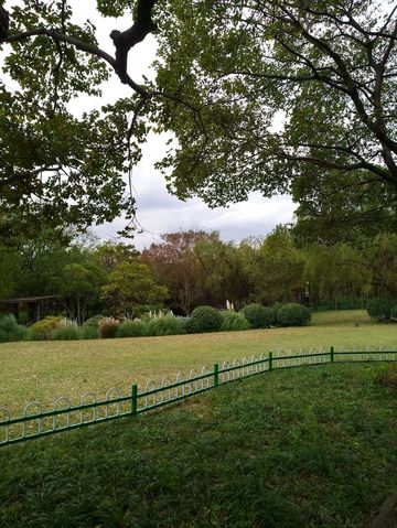 免費且24h開放!上海小眾江景公園,騎行觀鳥太絕了 免費且24h開放!上海小眾江景公園,騎行觀鳥太絕了