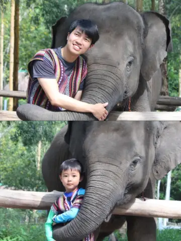 Must-visit in Phuket! Come here to give elephants a SPA!