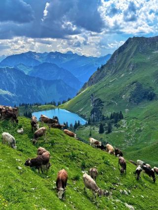 Climbing a mountain in Germany once, and you’ll know what a “top-tier experience” really means!