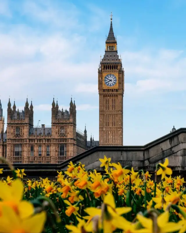 London Highlights