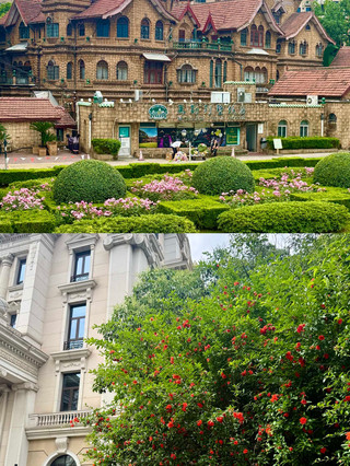 Shanghai's top free photo spots
