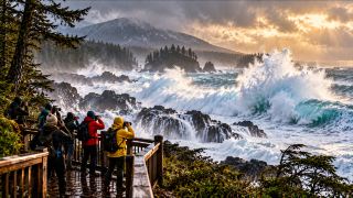 In this Canadian surf town, you'll find the rainforest on one side and the Pacific Ocean on the other