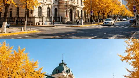 10.9 Приехав в Харбин, я поняла, насколько глупо было выбирать одежду — traveler post in Харбин