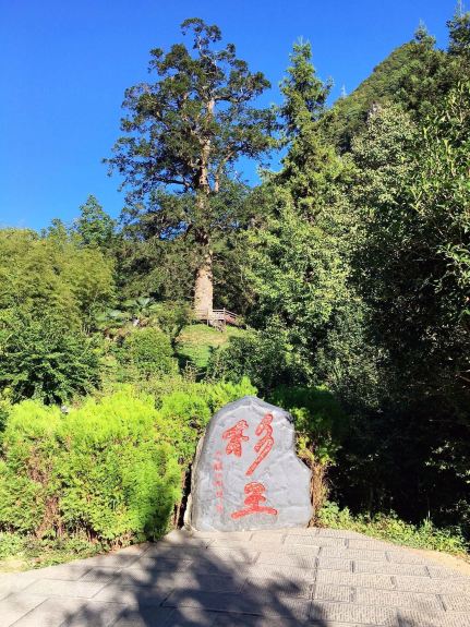 Shennong Valley National Forest Park 1-day guide