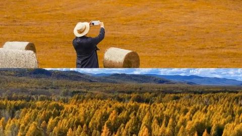 One day, you too will arrive in Hulunbuir in autumn... — traveler post in Ergun