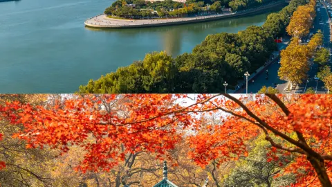 1人あたり0.6K以内!長沙発4日間・偉人の故郷を巡る人文の旅 — traveler post in 韶山