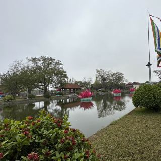 Đi chơi xuân cầu bình an - Chùa Thần Quang Chùa Keo Thái Bình