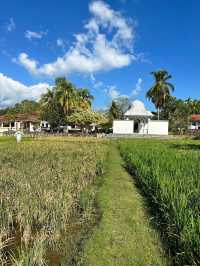 Authentic Malay cuisine by the paddy field