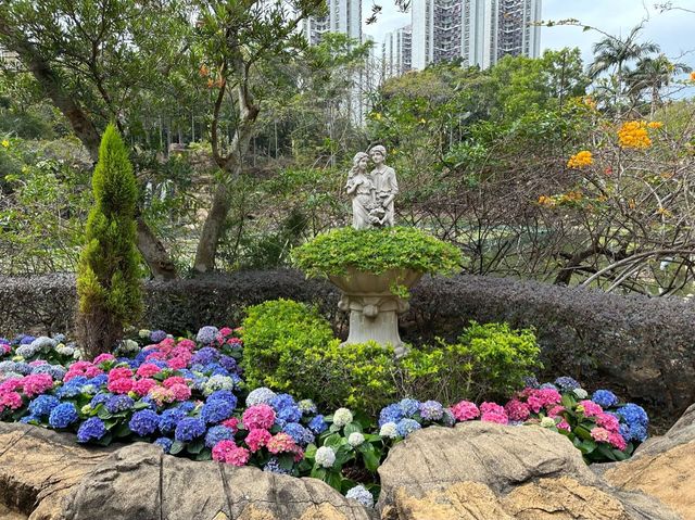 本地遊 | 坐港鐵遊香港 | 青衣站 | 兩個繡球花打卡熱點