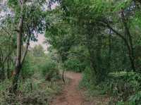 บ้านสวนดอยเปียงปุย  ดอยสกาด จ.น่าน