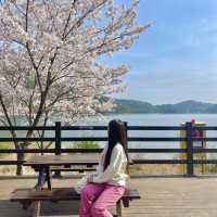부산의 숨은 힐링장소 회동수원지 둘레길 황토숲길🌱🌸