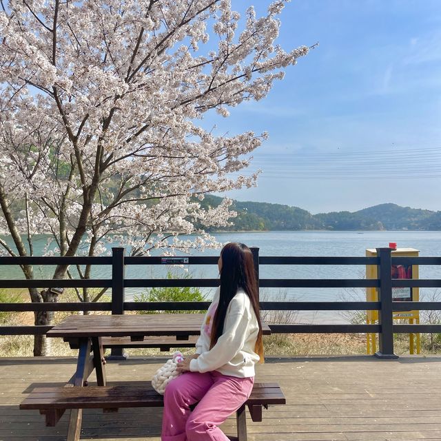 부산의 숨은 힐링장소 회동수원지 둘레길 황토숲길🌱🌸