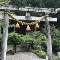 モネの池(通称)
