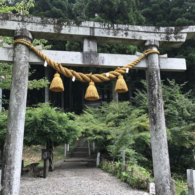 モネの池(通称)