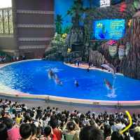 珠海長隆海洋王國之海洋動物