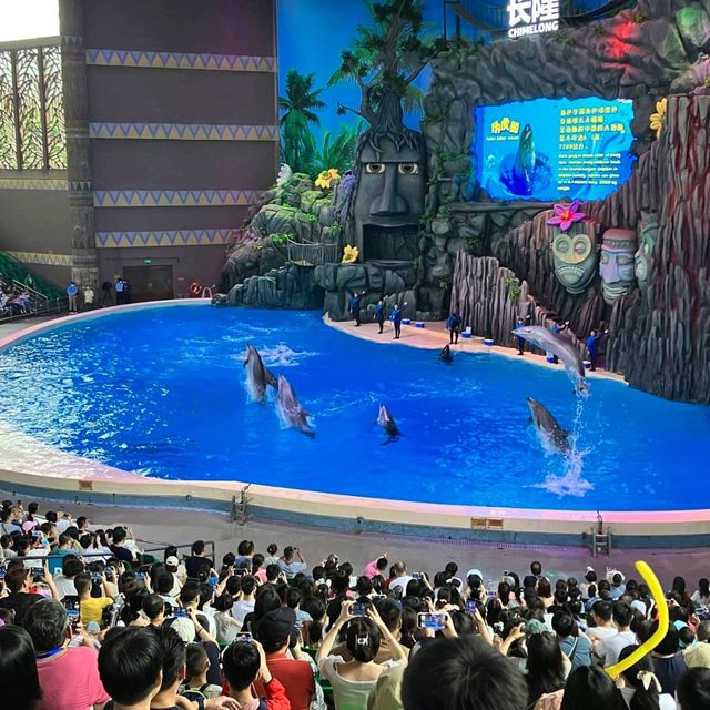 珠海長隆海洋王國之海洋動物