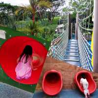 A Fun Playground and Green Nature for Kids 
