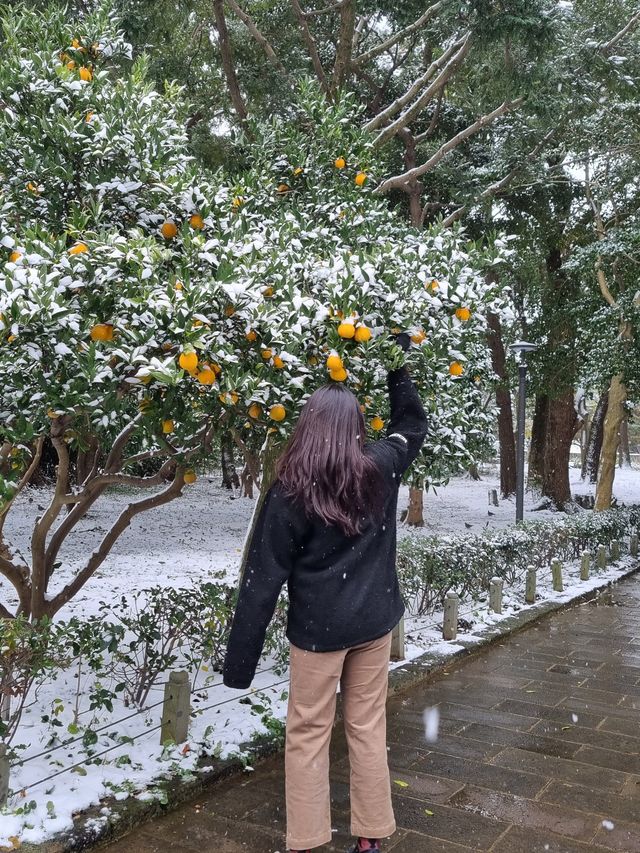 제주가 생긴 유래를 볼 수 있는 유적지 ‘삼성혈’ 