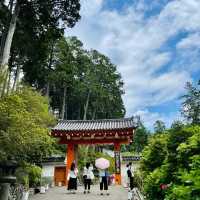  【京都】花の御寺「三室戸寺」