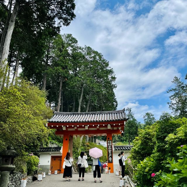  【京都】花の御寺「三室戸寺」