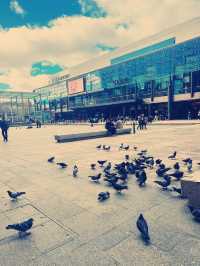 Perth Streets 😎🤩 Hey, It's Hay Street 😁🤭