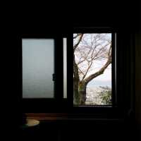 Udon Shop Overlooking Senbon Torii - Nishimura-tei