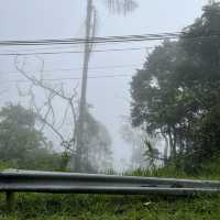 Misty town with Mount Kinabalu view